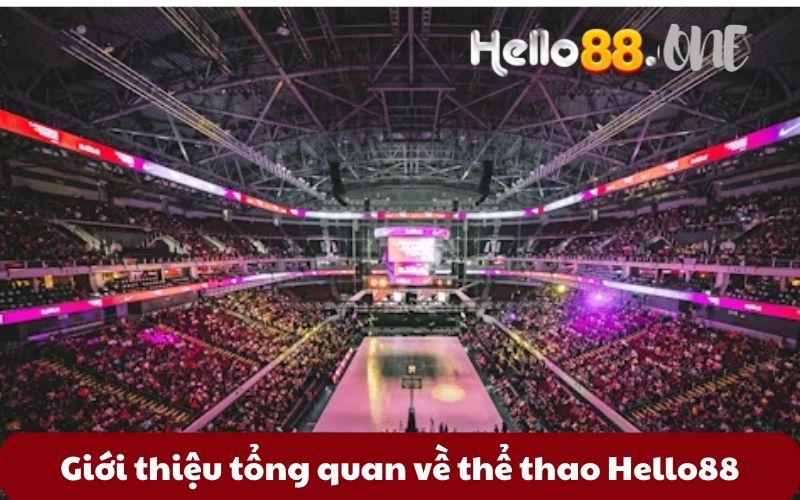 Gioi-thieu-tong-quan-ve-the-thao-Hello88 