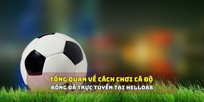 Cách chơi cá độ bóng đá tại Hello88