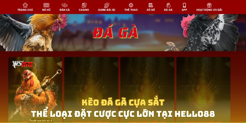  kèo đá gà cựa sắt là gì